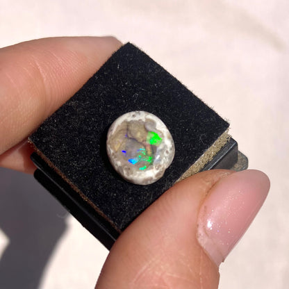 Ópalo Mexicano Anillo Personalizable